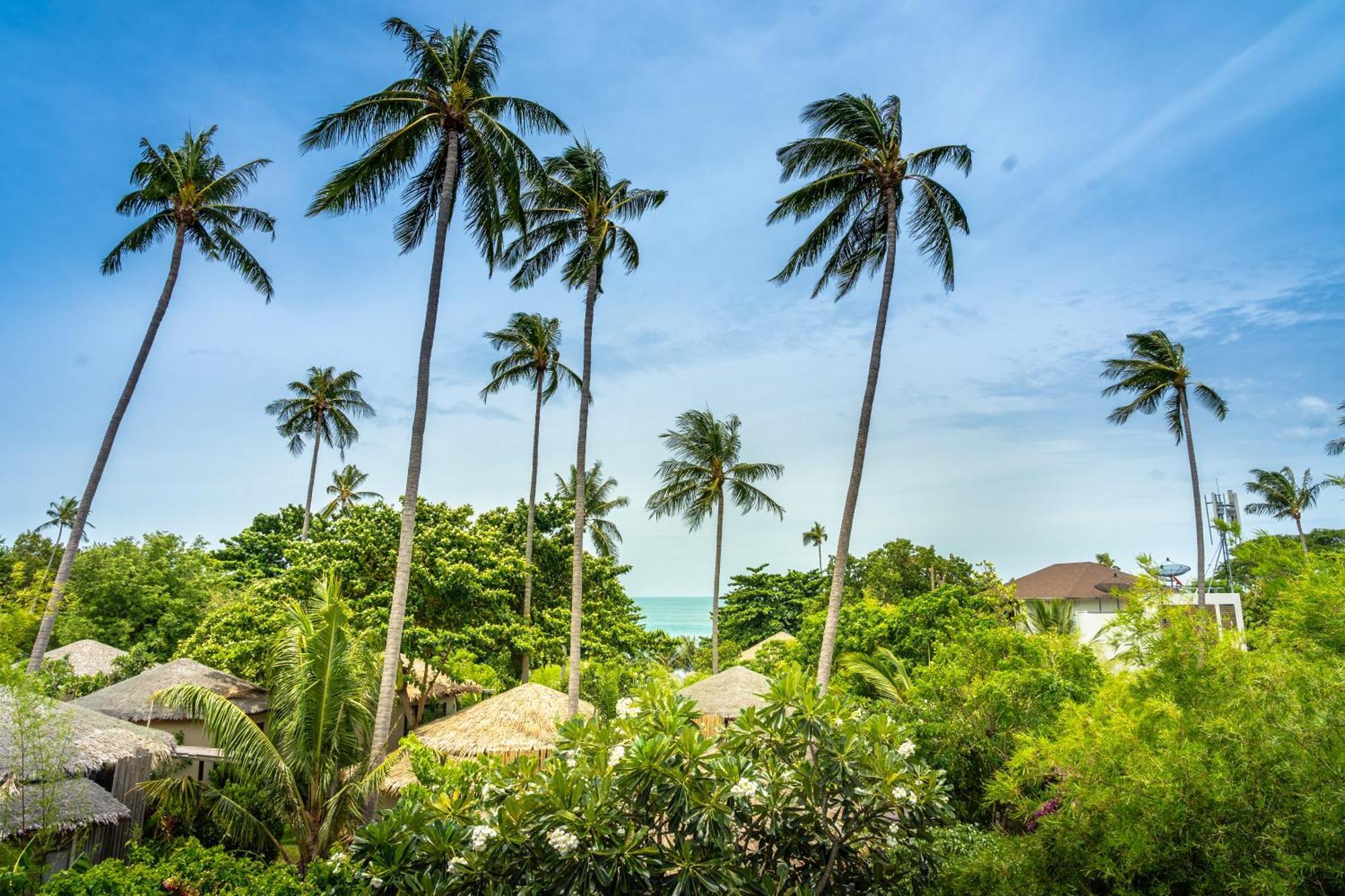 Sea Dance Resort Choeng Mon Exterior foto